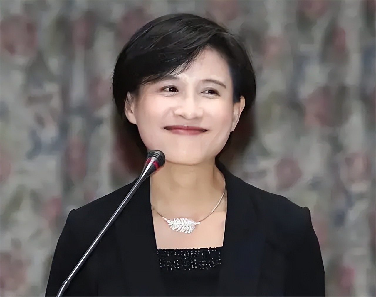 “*独台**”在大陆赚钱，对别人说风凉话：陆客减少，影响不大