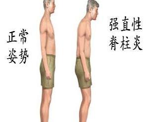 最有钱女明星刘亦菲,刘亦菲秀名贵翡翠大耳环