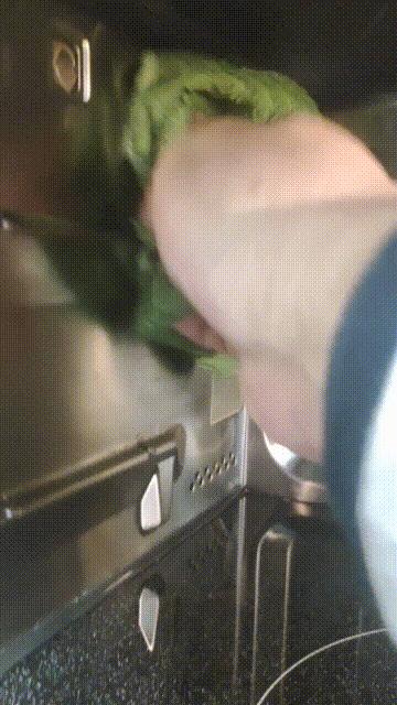 微蒸烤一体机东芝和松下哪款好,微蒸烤一体机东芝测评