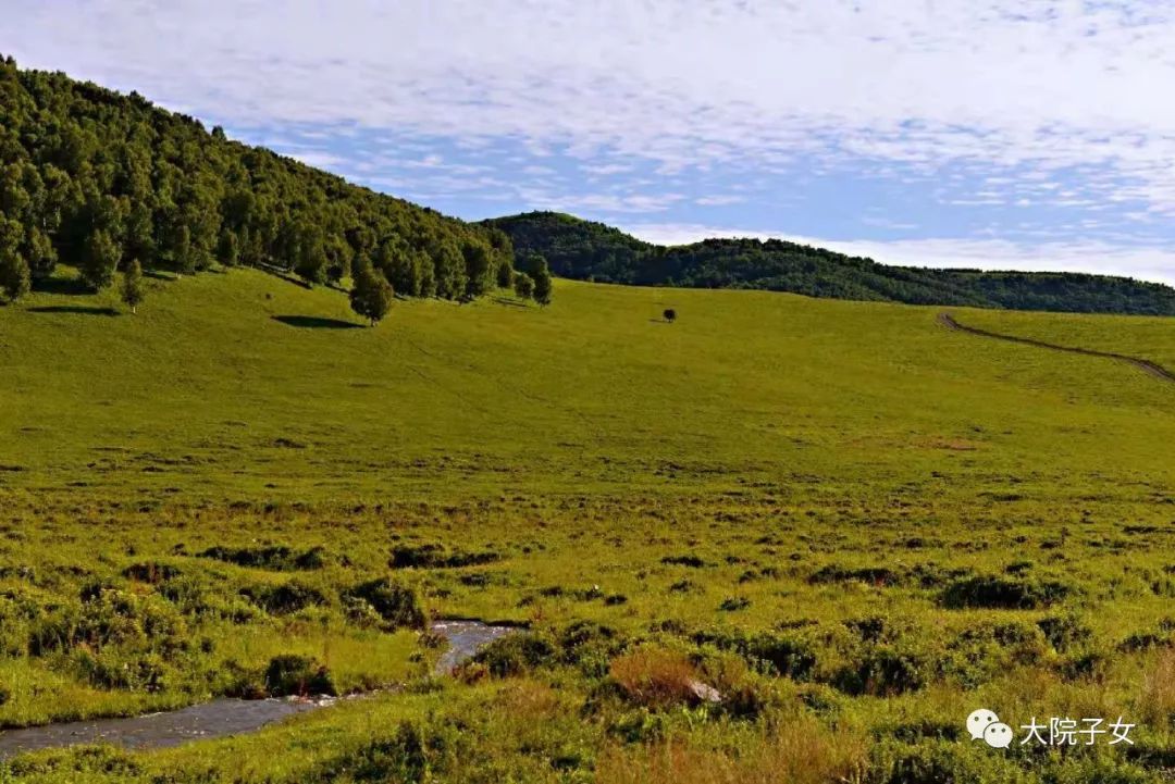一兵丨我看坝上草原