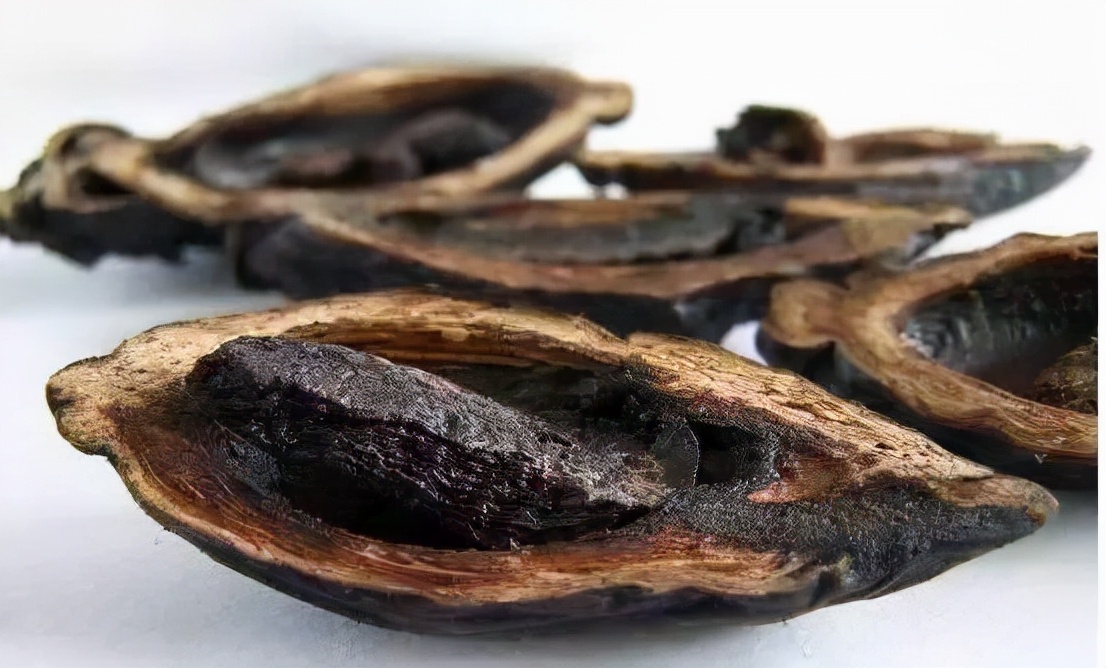 槟榔的危害科学分析,槟榔的危害有多大资料