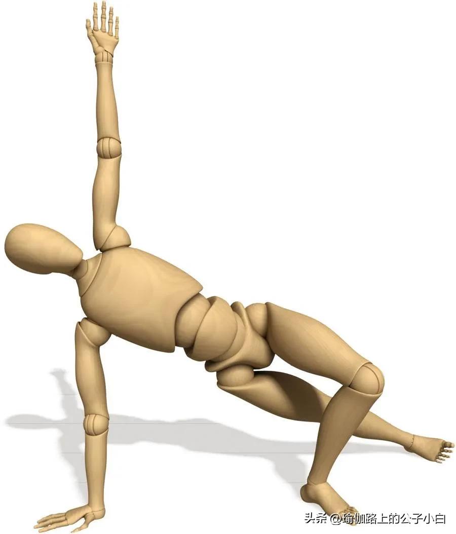瑜伽解剖体式正位发力图,瑜伽侧板式体式