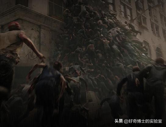 如果丧尸病毒爆发人类还能活多久,如果丧尸爆发人类能活多久