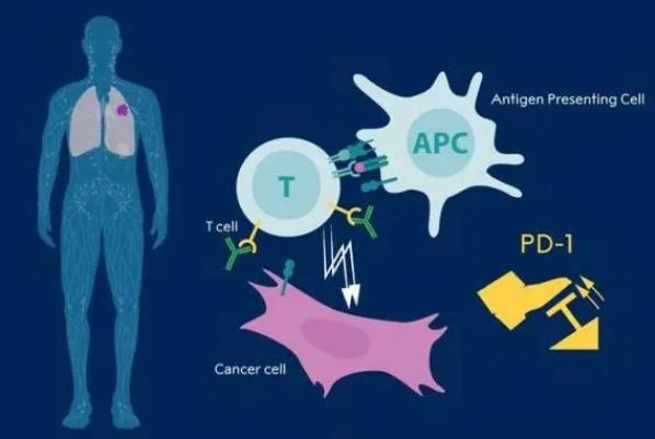 癌症根本不需要治，治好的都是误诊了？医生告诉你4个真相