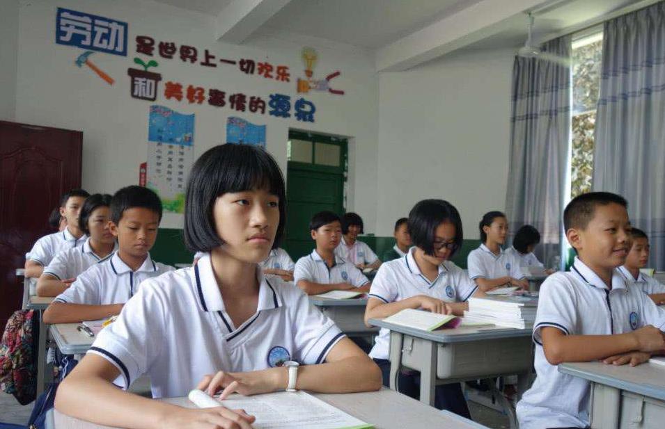 初中哪门学科最体现孩子的智商,初中生哪科成绩好将来会成为黑马