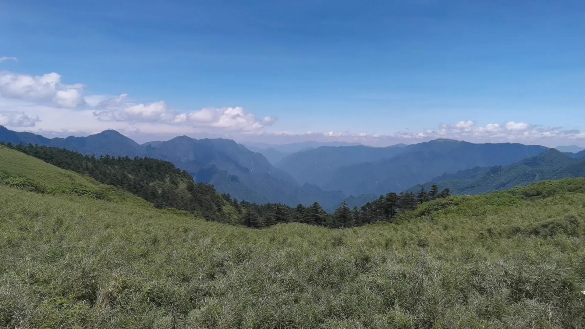神农顶大九湖一日游价格,神农顶大九湖一日游