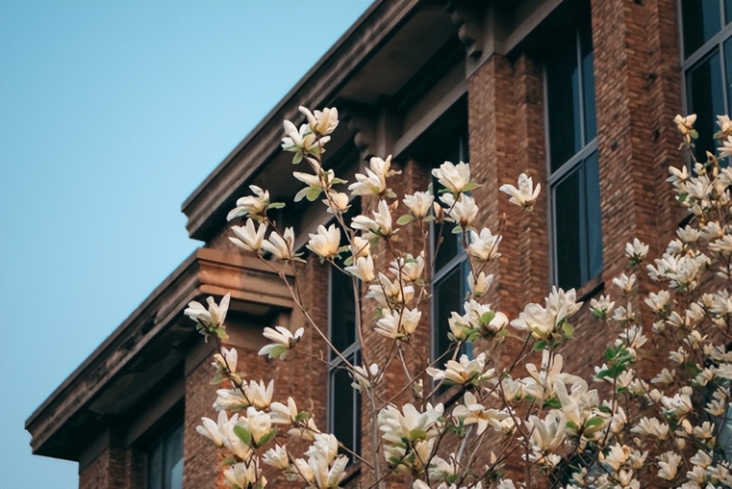 何为中国农业大学？举农为本，一“曲”传四海，“辰”光遍神州！
