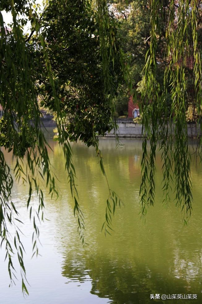 芜湖旅游攻略教堂,芜湖鸠兹风景区