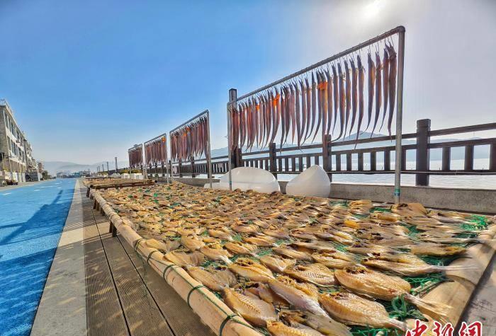 浙江渔村是怎么发展起来的,小渔村小鱼片