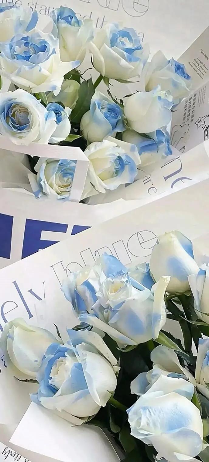 手机壁纸大全超好看动态,壁纸超清4k手机壁纸男生专用