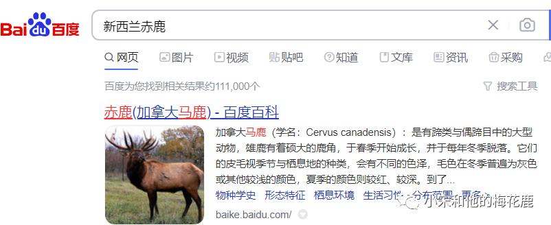 真假梅花鹿茸,假的鲜梅花鹿鹿茸