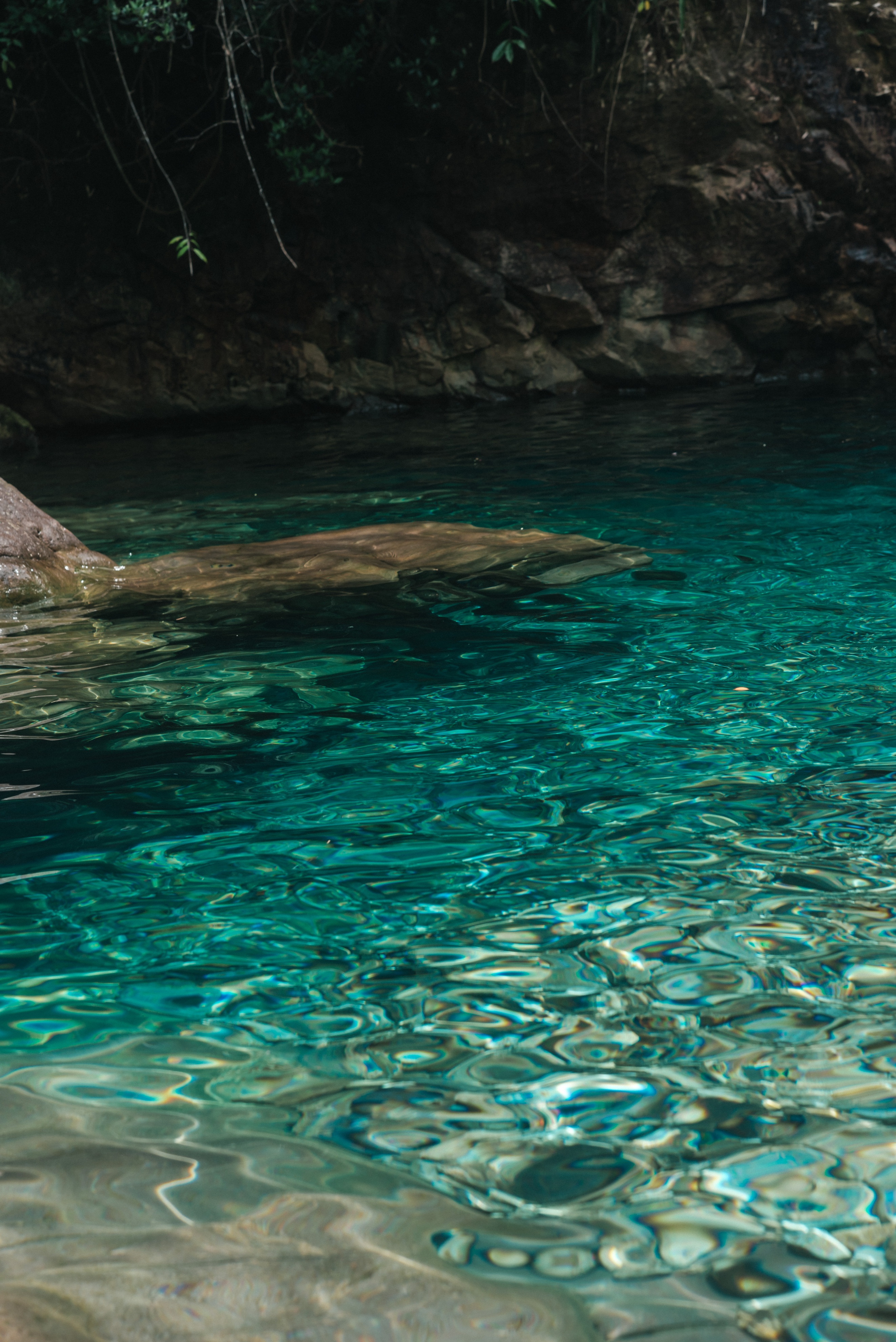 仙居杨梅仙人居住的地方,浙江仙居果然是神仙居住的地方