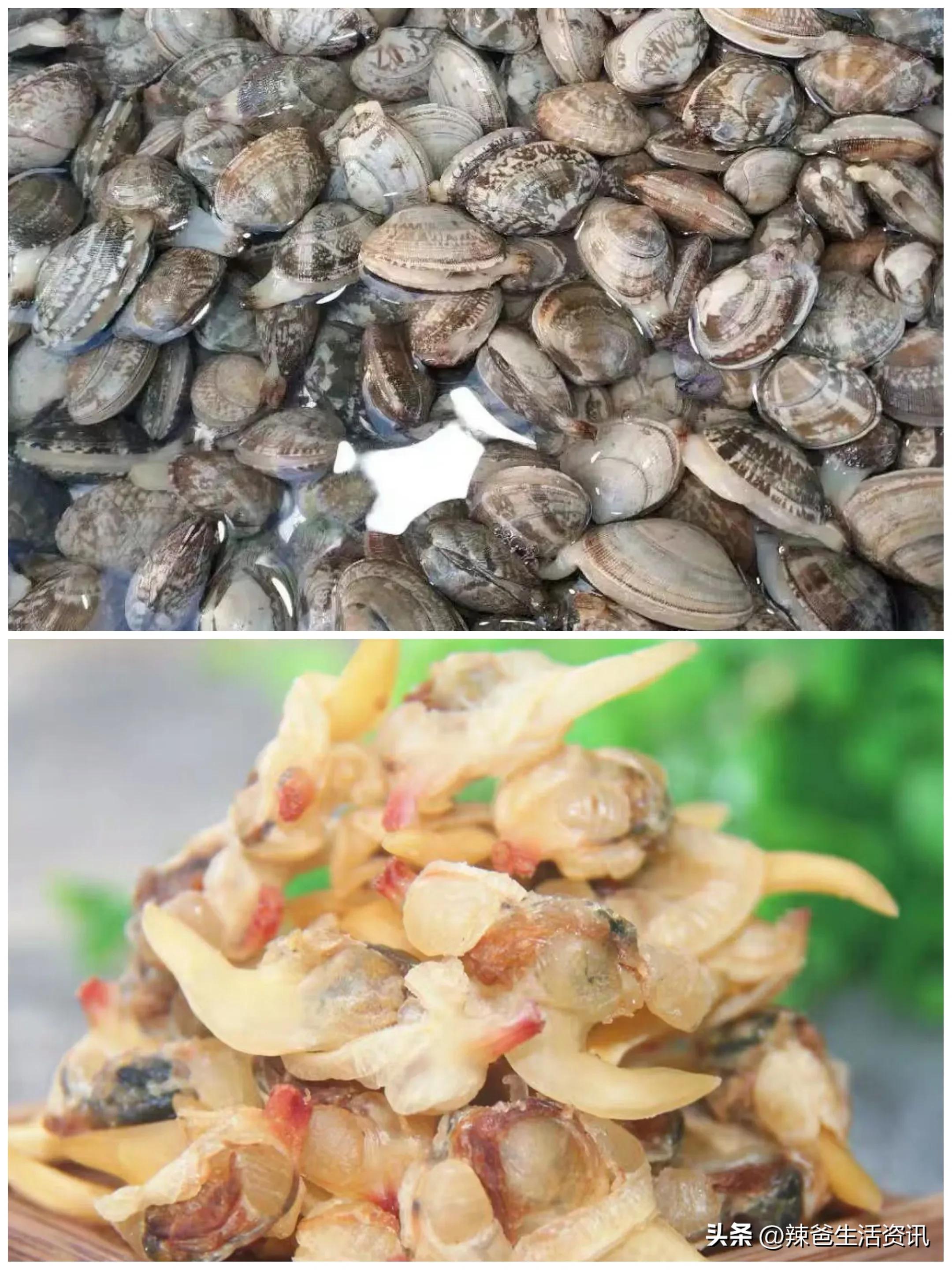 青岛冬季旅游攻略海鲜,青岛旅游推荐什么海鲜好吃