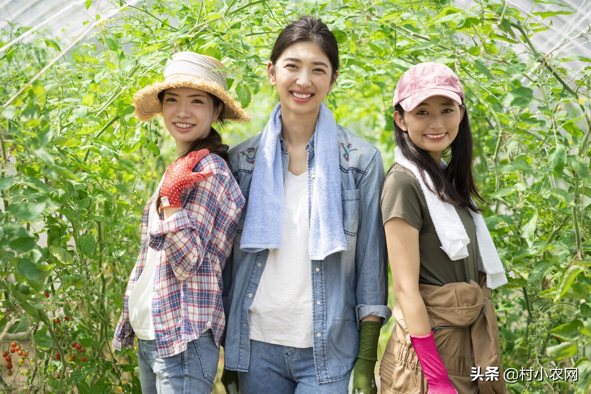 适合农村创业致富的项目有哪些,当下如何在农村创业赚钱致富