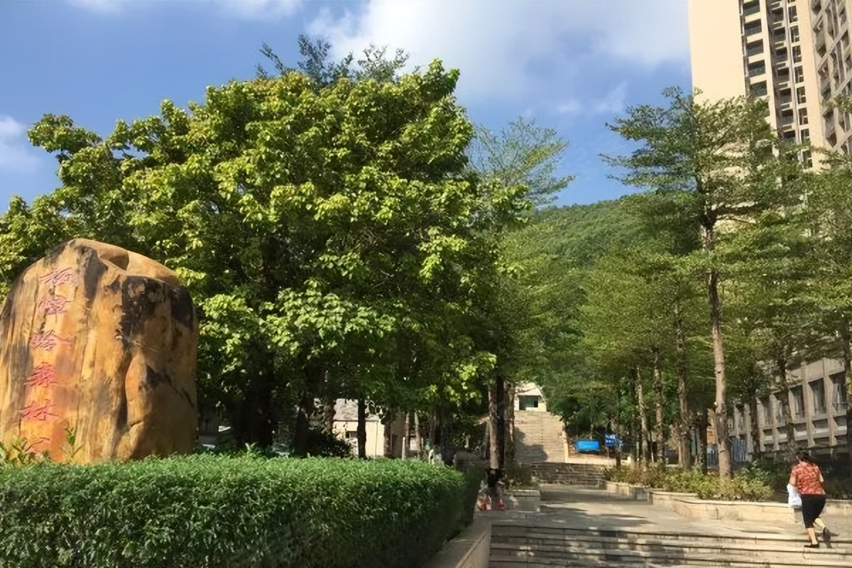 大亚湾公园上城入住率怎样,大亚湾公园山怎么样