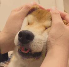 中国人下南洋如何白手起家,白手起家的人特征