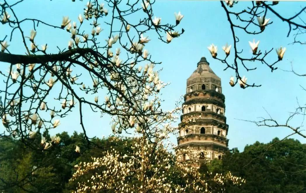 博物馆文创产品销售状况,博物馆文创产品营销发展前景