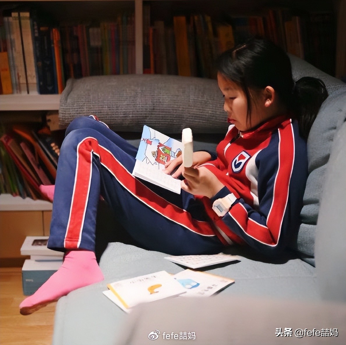 关于小动物的书推荐,好书推荐动物书单