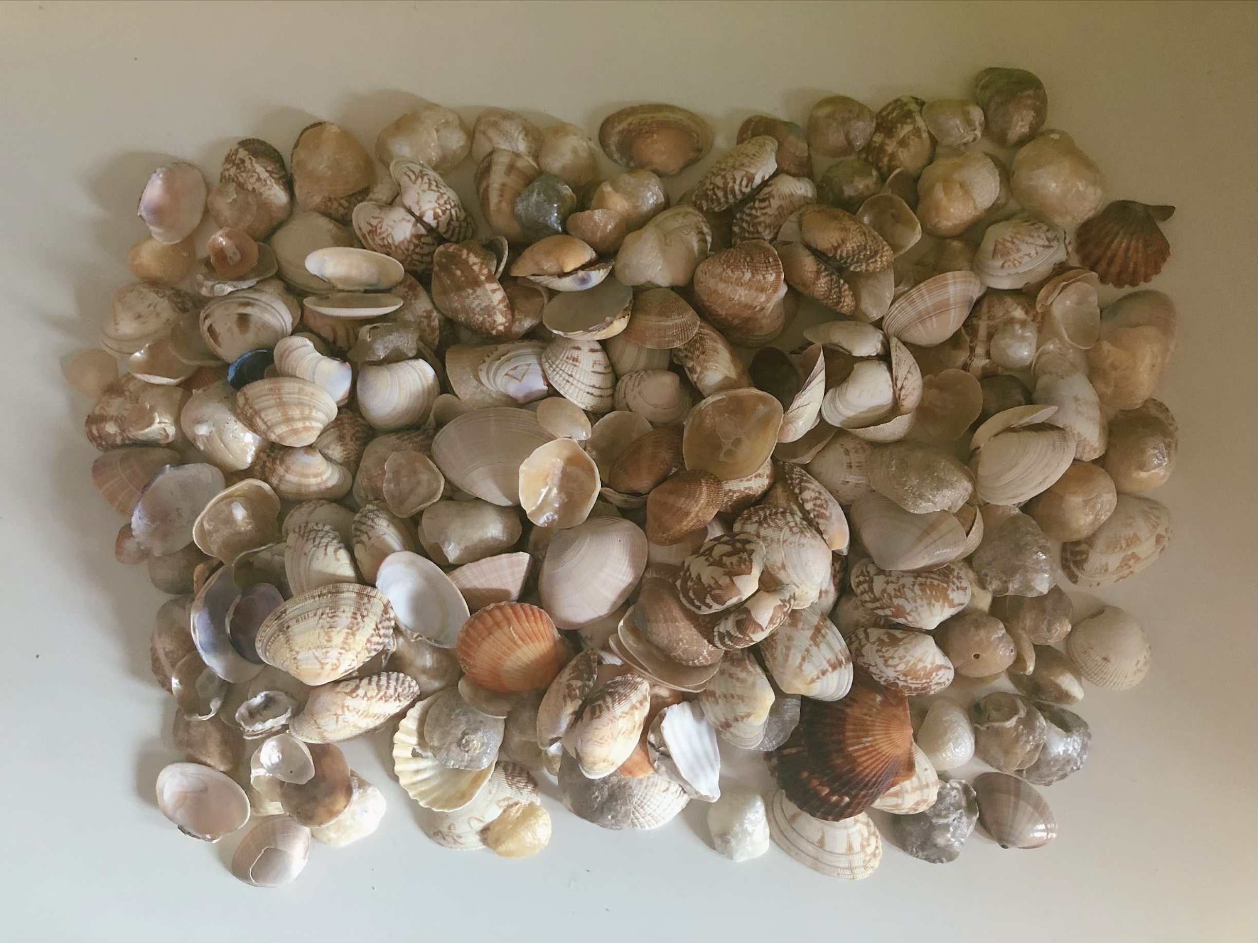 东戴河小众景区,东戴河小众旅游攻略