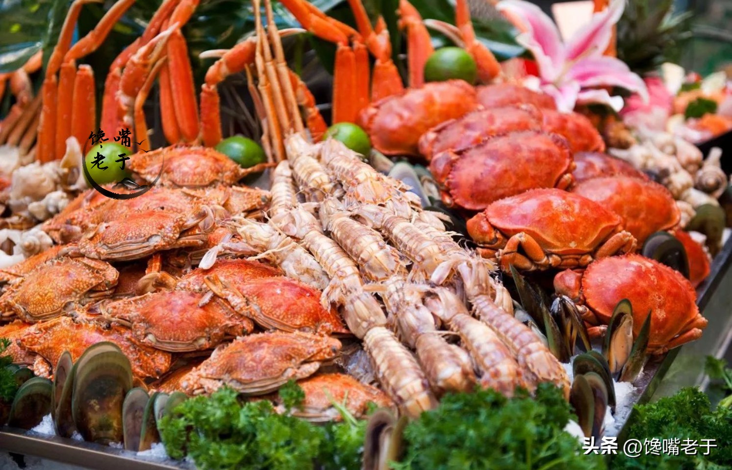 在青岛吃海鲜怎么吃比较划算,外地来青岛吃海鲜去哪里