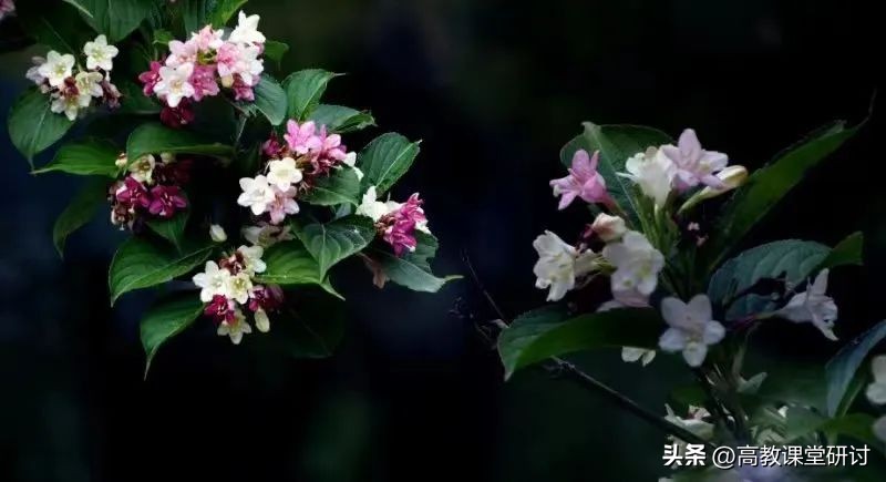 陈何芳，潘慧：通信工程研二男专硕S02有何实习体验