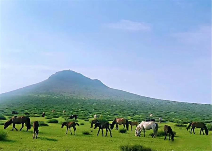 618宝妈囤货奶粉,奶粉囤货季