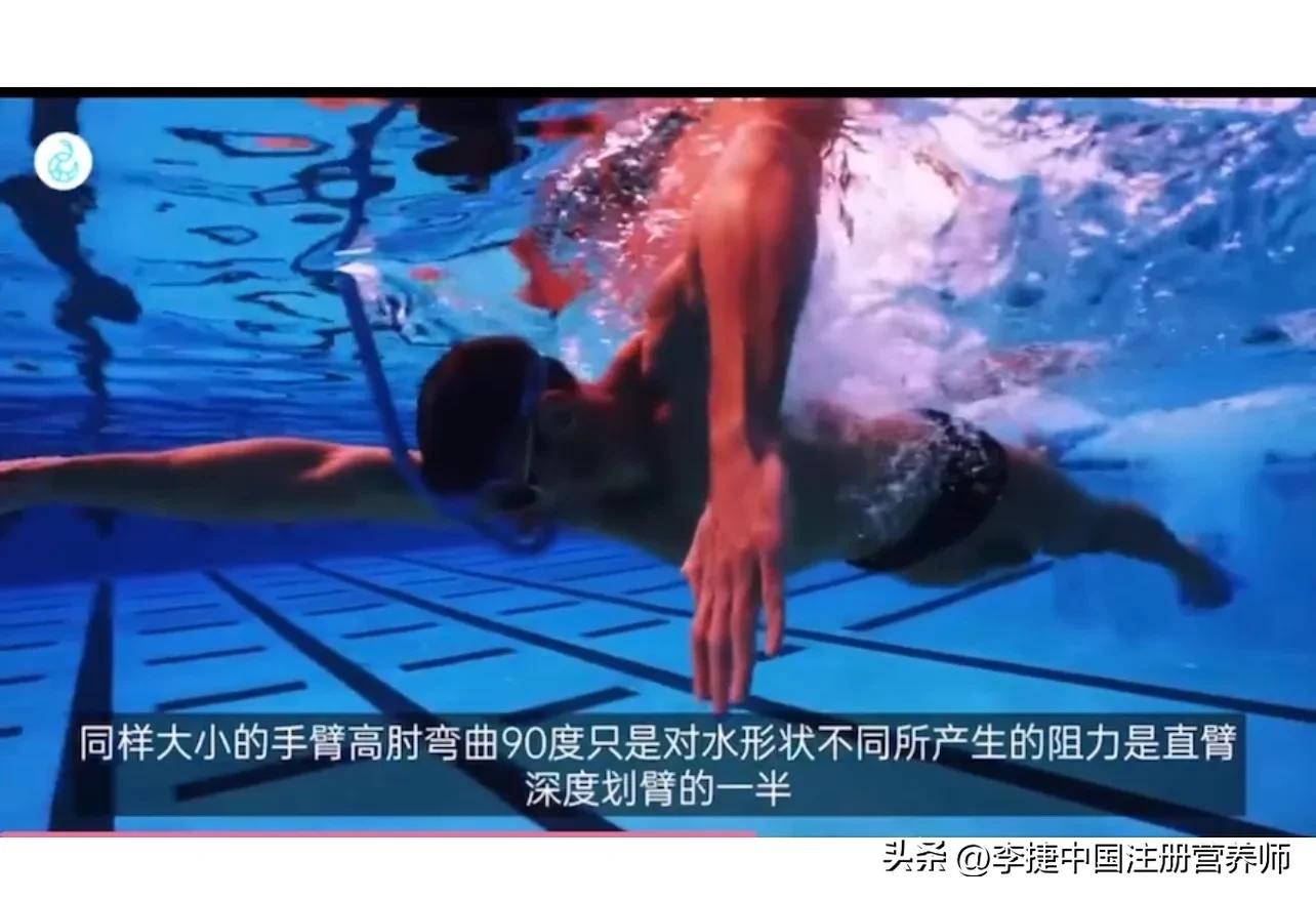 前游泳冠军谈自由泳技术,舒曼自由泳视频