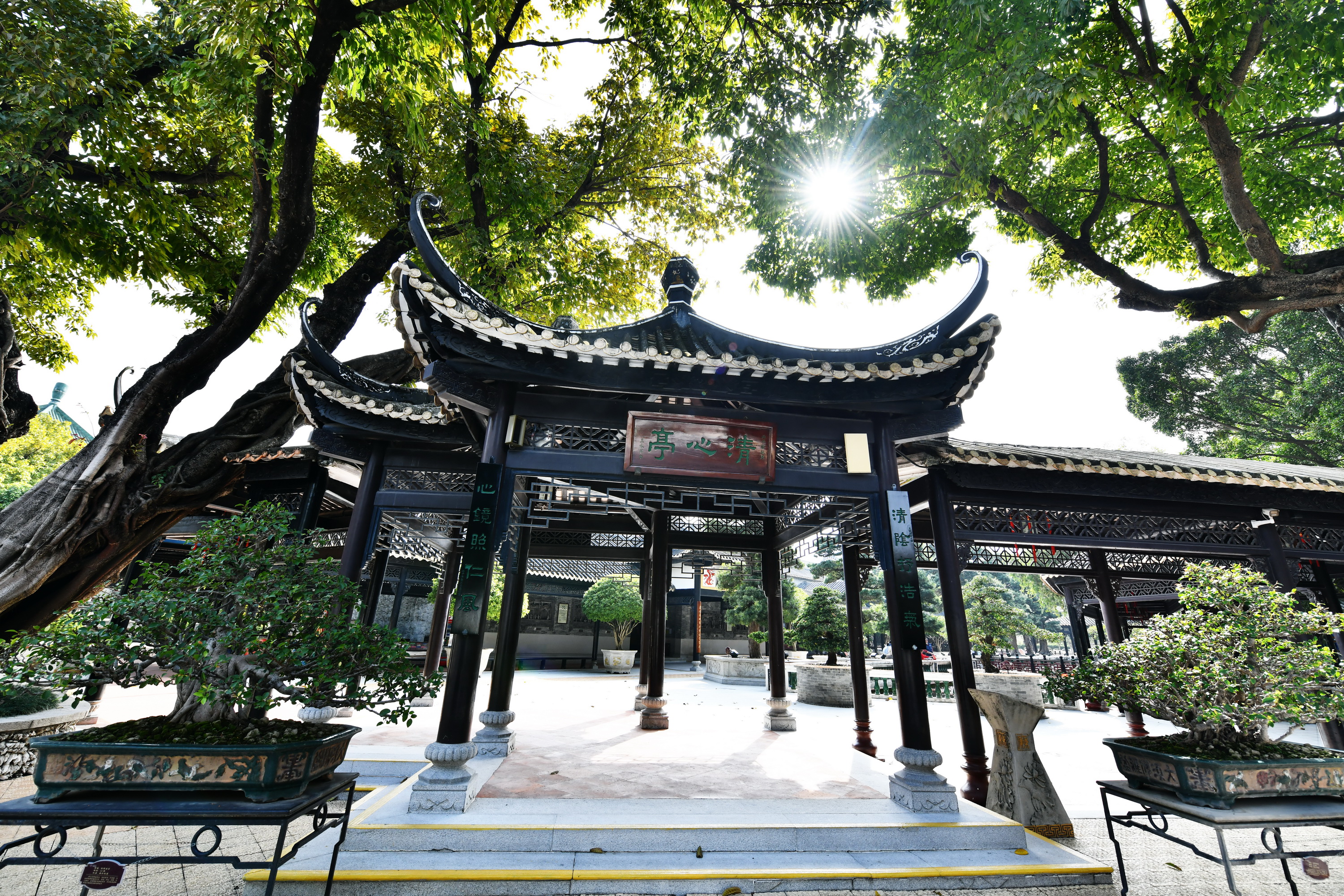 广州市番禺区宝墨园攻略,广州宝墨园景观