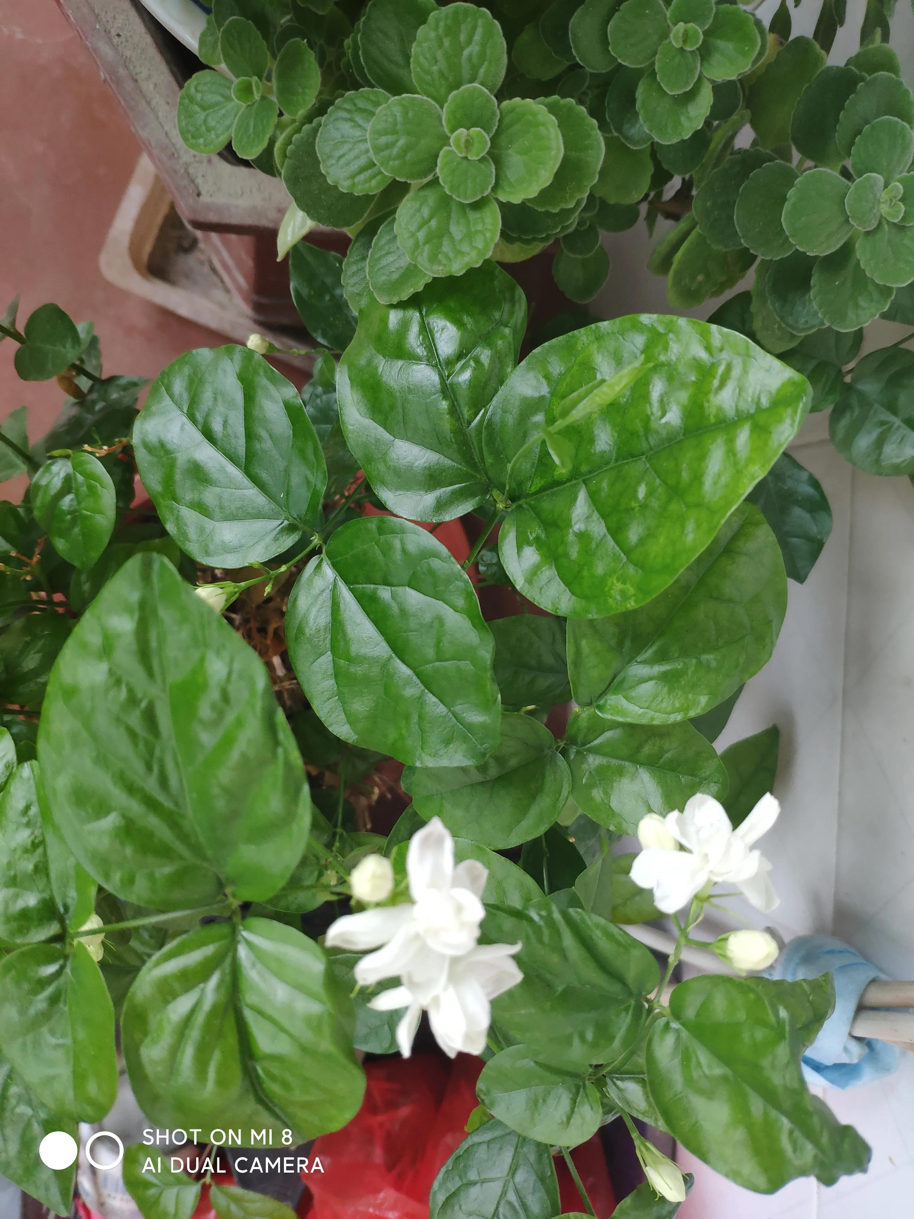 炎热的夏日突然停电了,下雨停电了没有网络怎么办