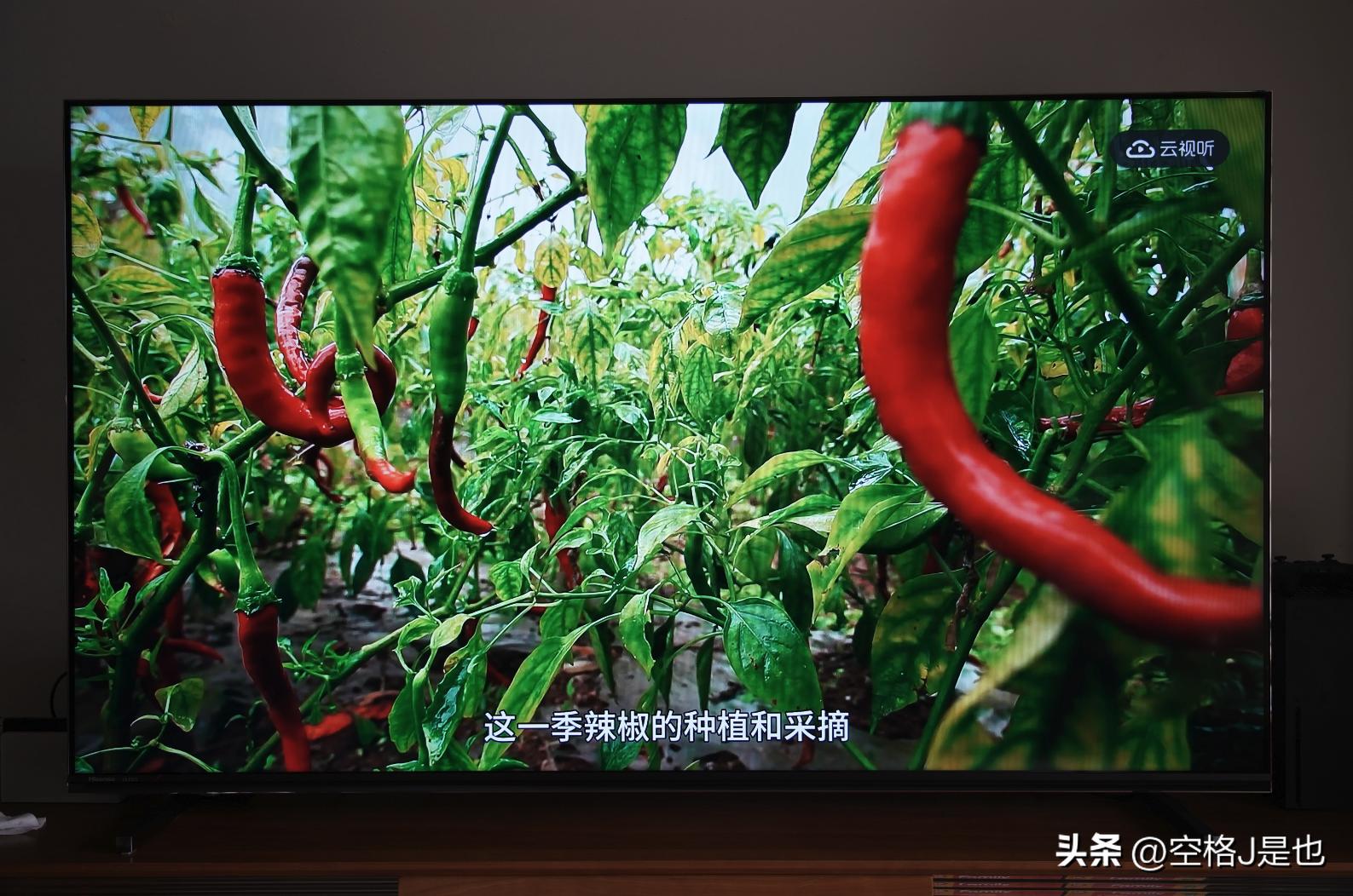 闭眼买的旗舰机,海信电视评测海信U7G-Pro