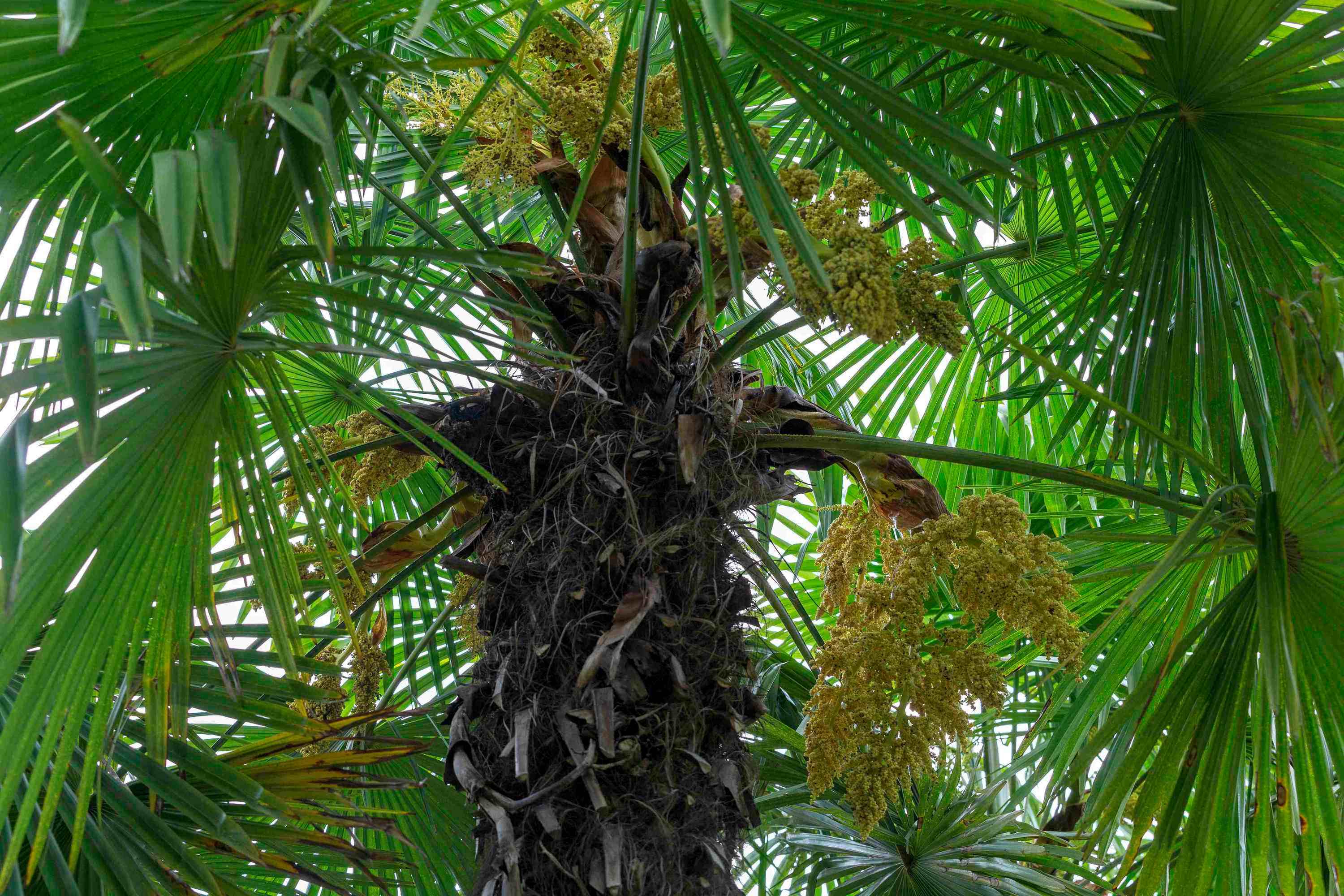 棕床垫如何挑选好的品牌,棕丝床垫正确买法