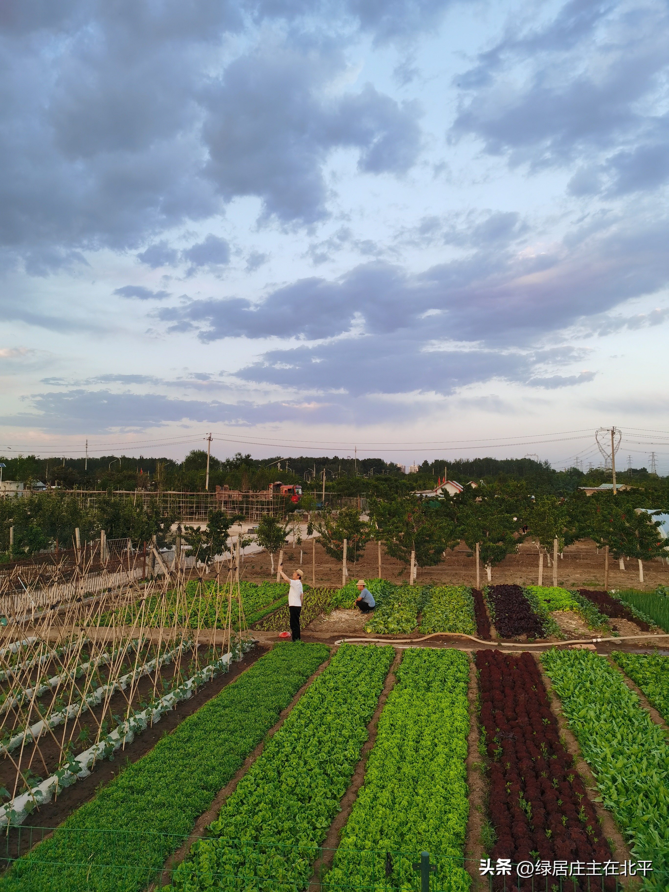 拆迁腾退是要房还是要钱好,腾退房屋补偿方案2019