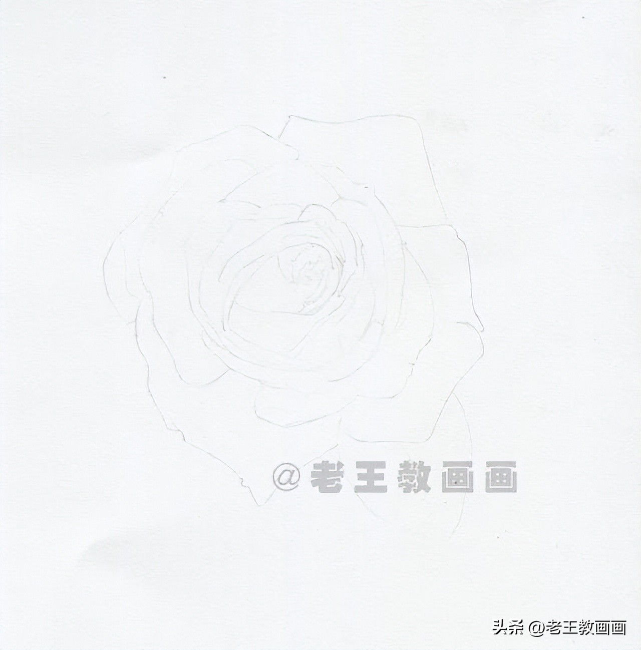 画花教程素描零基础,画向日葵花教程