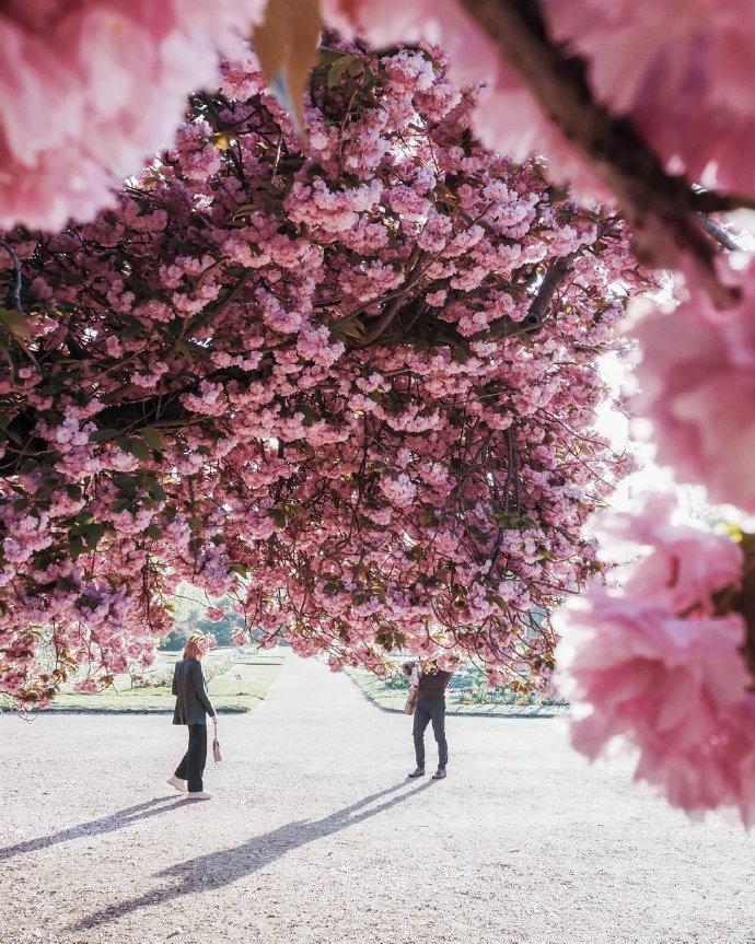 人过五十学会做自己,人过五十最好的依靠是自己