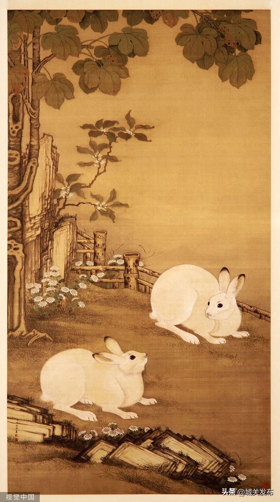 原来，你是这样的兔兔！