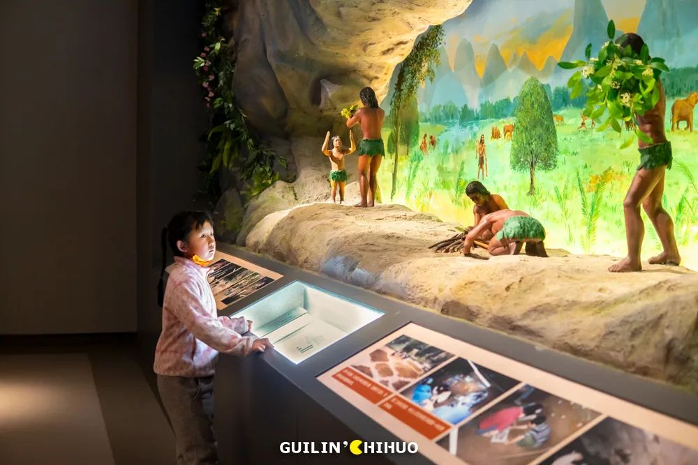 妗傛灄缇庨琛楁鑺辩硶,妗傛灄姝ｉ槼姝ヨ琛楃編椋熸鑺辩硶