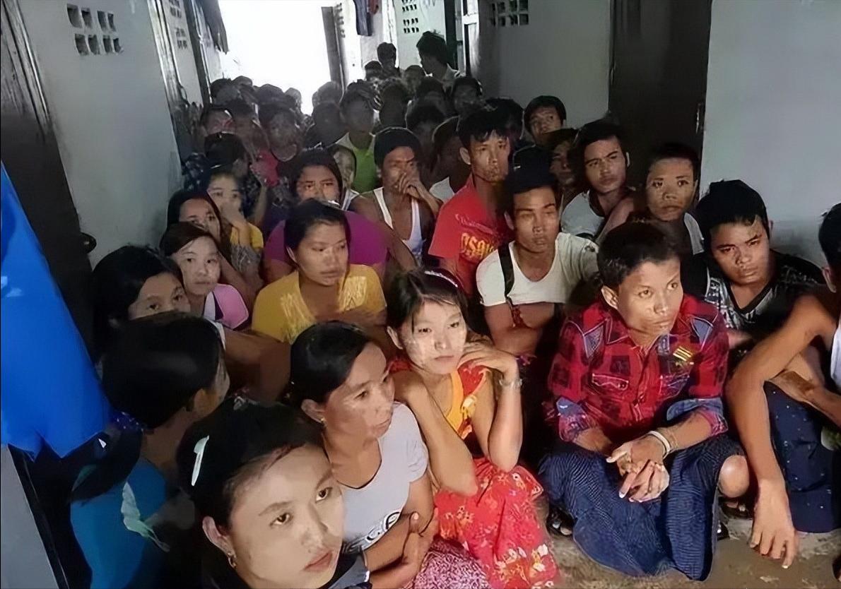 中国人缅北诈骗团伙视频,缅北诈骗真实情况到底是什么