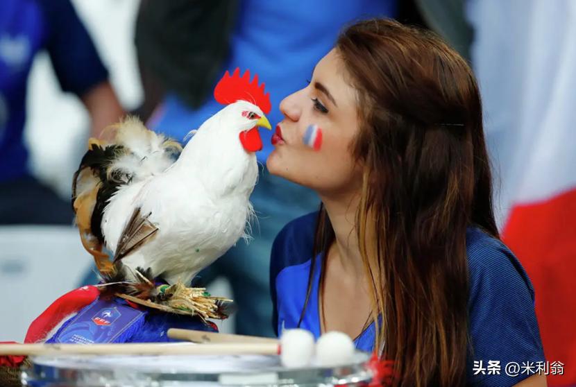 高卢雄鸡是哪个国家的象征,高卢雄鸡在法国代表什么