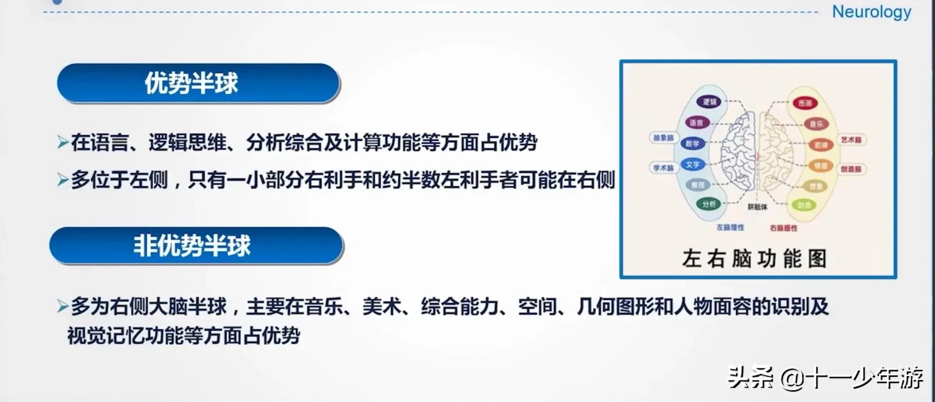 大脑的结构解剖示意图,大脑镰下疝解剖结构