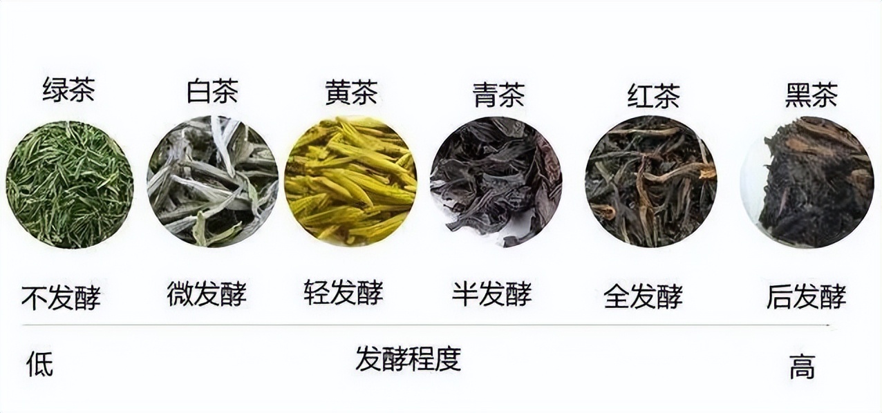 六大茶类怎么根据茶叶区分,茶叶分类是六大茶类还是七大茶类