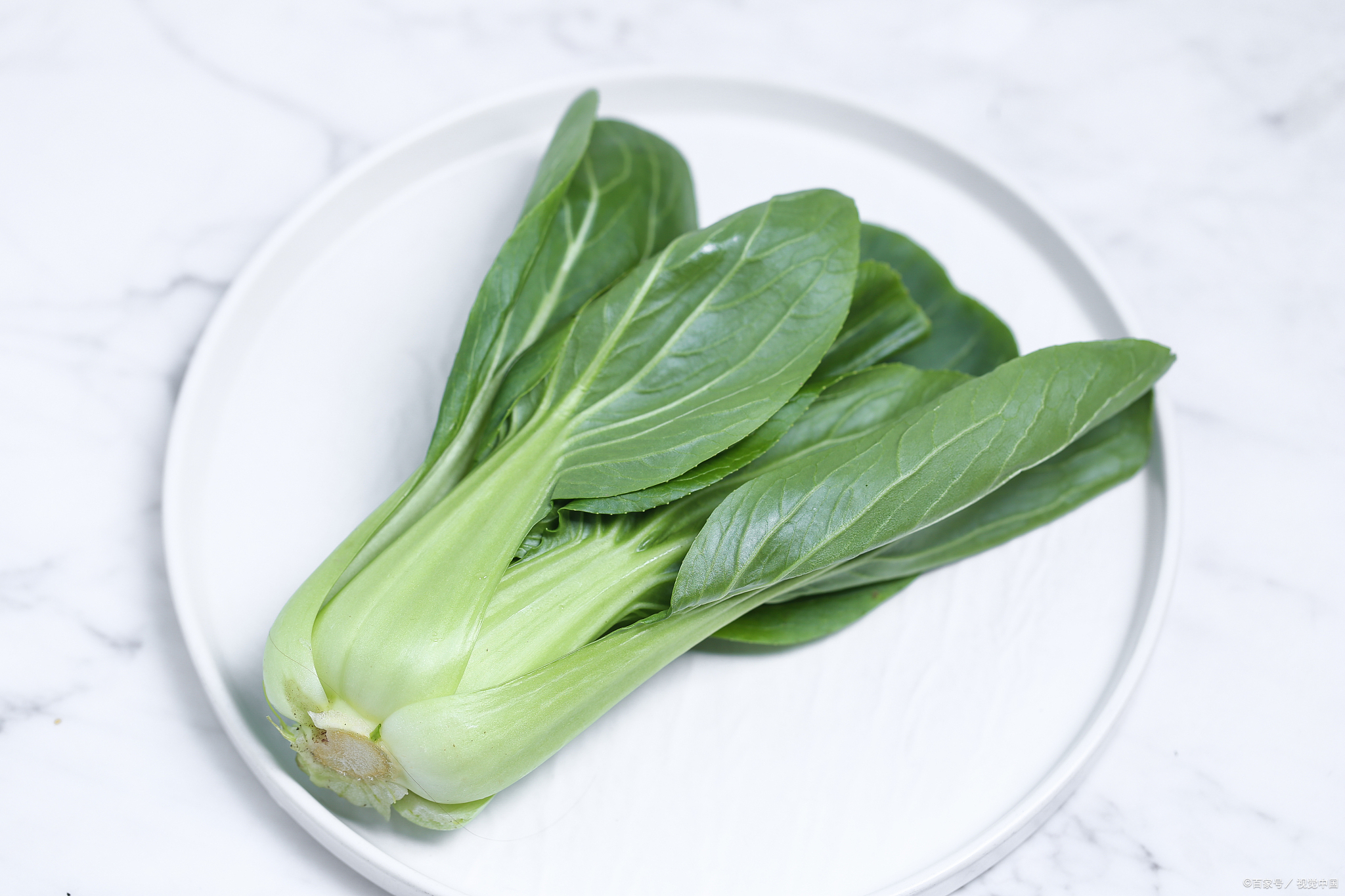 狗狗必备的10种蔬菜,狗狗抗癌饮食全图解