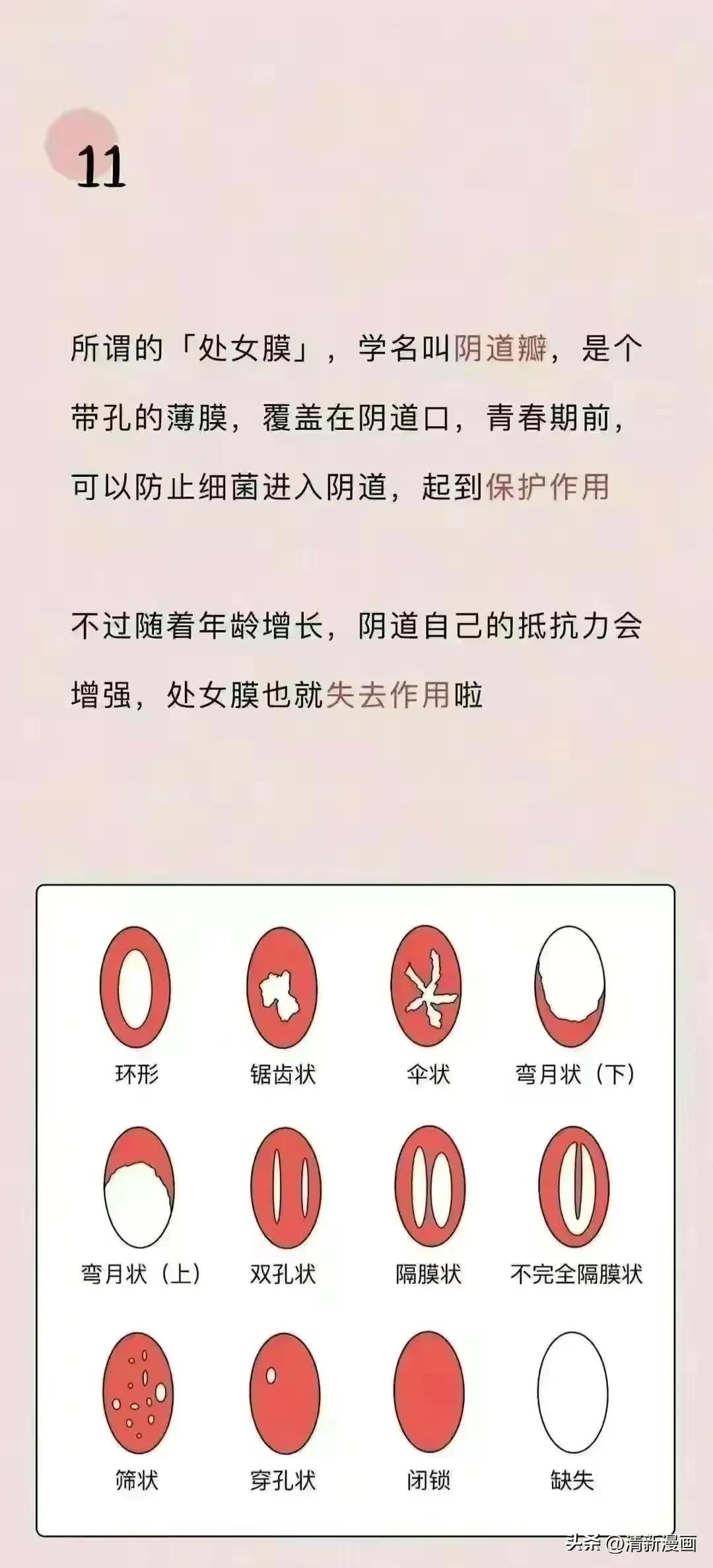 女性阴道生理科普知识大全完整版,女性阴道小知识科普知识大全