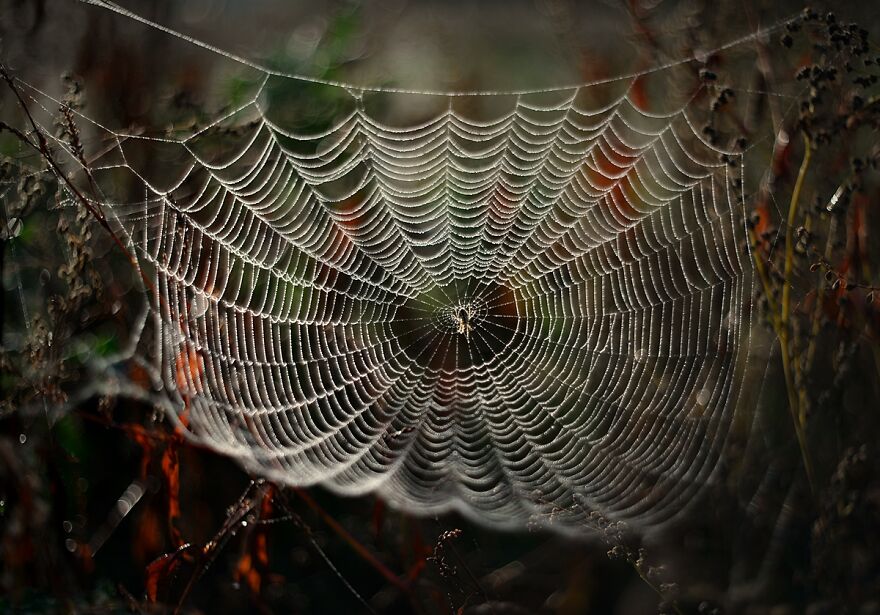 大自然的美景秋天摄影照片,美丽的大自然春夏秋冬图片大全
