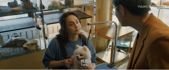 保你平安电影解析文字,保你平安电影赏析