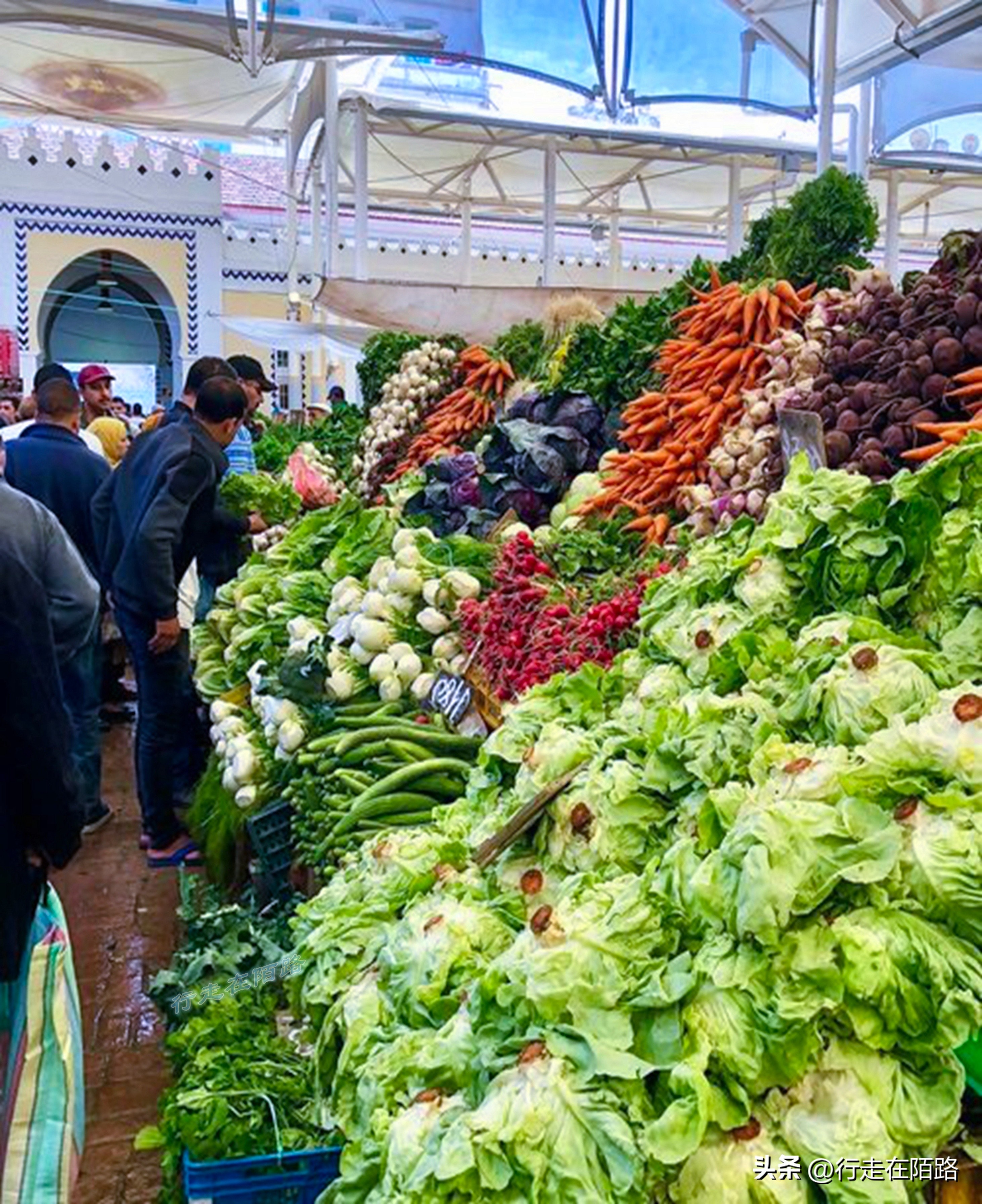非洲突尼斯：不太一样的穆斯林国家，面积小人口少物价低