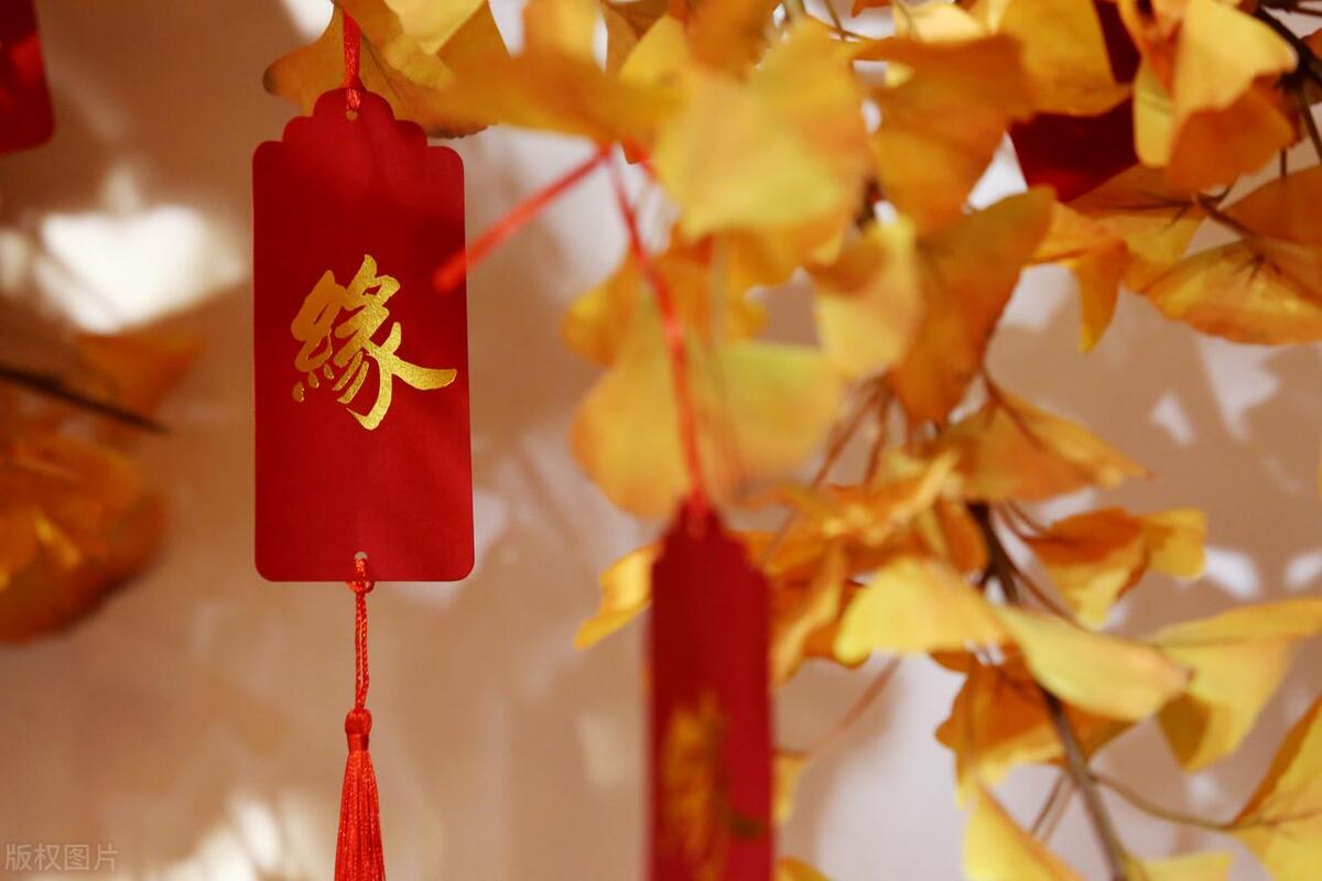 十二星座十月下旬桃花运,十月份遇到正缘的星座