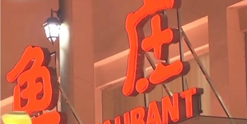 广西小伙养草鱼卖400,5亩养殖草鱼一年能赚500万