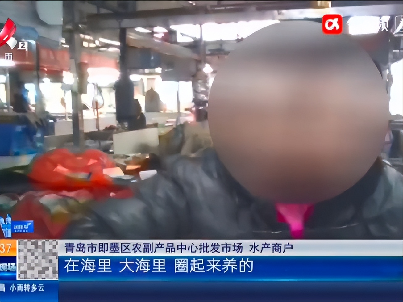 白虾厄瓜多尔养殖曝光,董宇辉卖厄瓜多尔虾自营产品