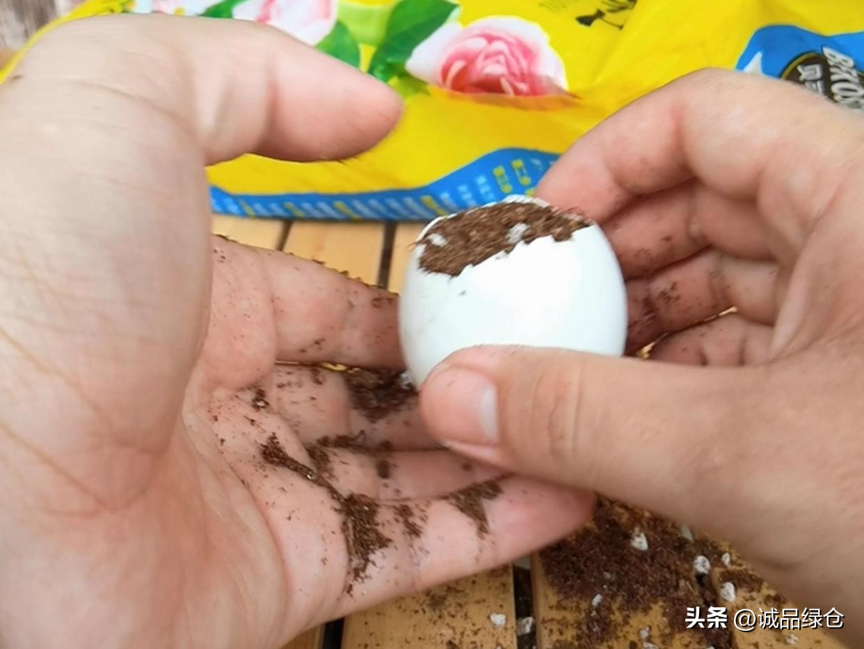 端午节的礼物又简单又好看,端午节手工礼物特辑