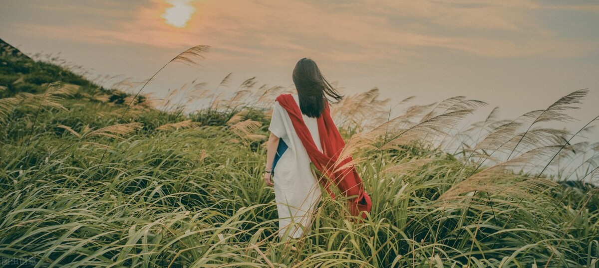 成功人士个性签名句子,个性签名句子短句励志